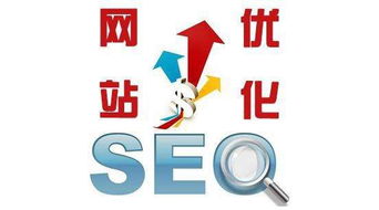 找seo排名公司 山东seo公司 日照之音