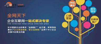 企业为什么选择全网营销呢