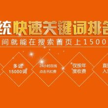 广州布马网络