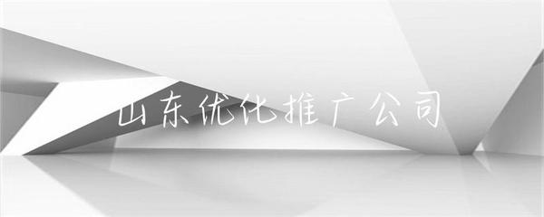 山东优化推广公司